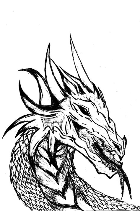 dragon artwork black and white|black and white dragon sketches.